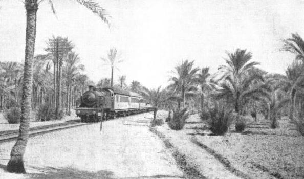 A PASSENGER TRAIN IN EGYPT