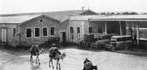 Old and new forms of transport at Jerusalem