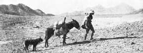 BEFORE THE RAILWAY CAME, a simpler mode of transport served the prospector in the desert