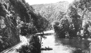 A stretch of line owned by the Mount Lyell Railway on the west coast of Tasmania