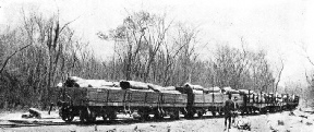 A LOG-TRAIN in Northern Rhodesia