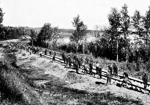 THE LIFTING GANG using the Hurley track-layer