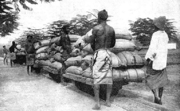 RANSPORTING COCOA from the factory at Akuse to barges on the Volta River