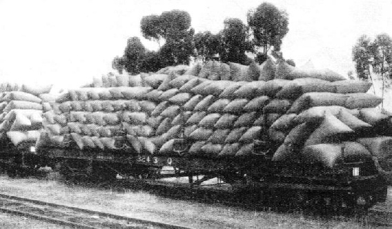 This illustration shows how trucks are loaded with bags of wheat in Western Australia.