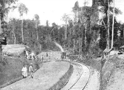 A view of Jim Abufu Station, Gold Coast Railway