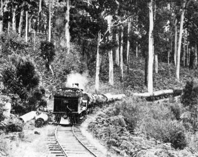 A LOG TRAIN on a private timber line at Manjimup in Western Australia.