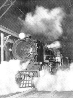 The "Sydney Limited"