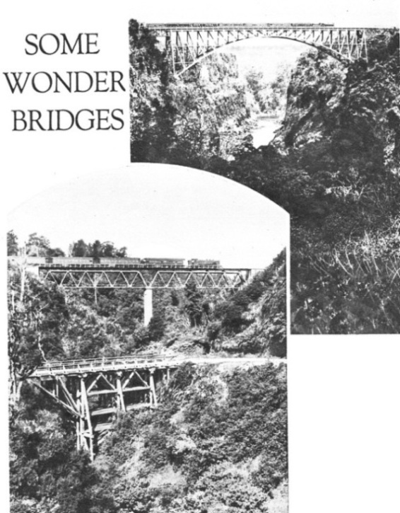 Some wonder bridges