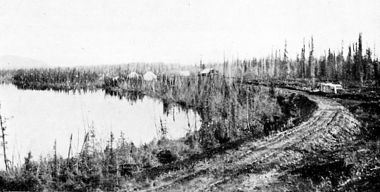 THE ROAD THROUGH THE MUSKEG