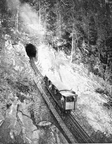 THE STEEPEST SLOPE on the Pilatus Railway